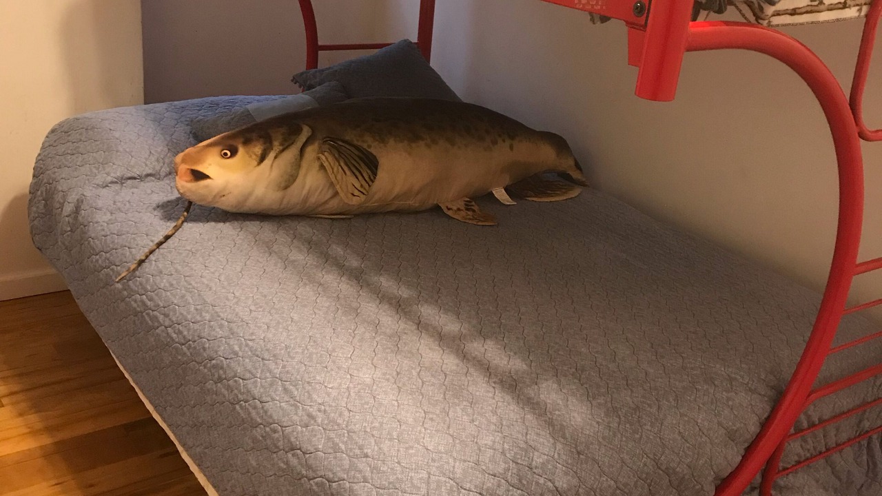 Photo of Bedroom in Groveoak