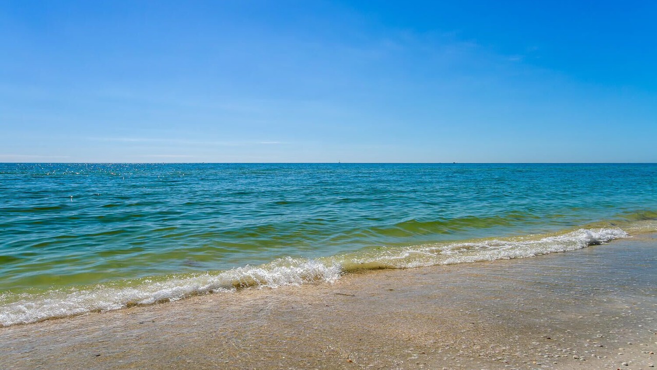 Photo of Others in Sanibel