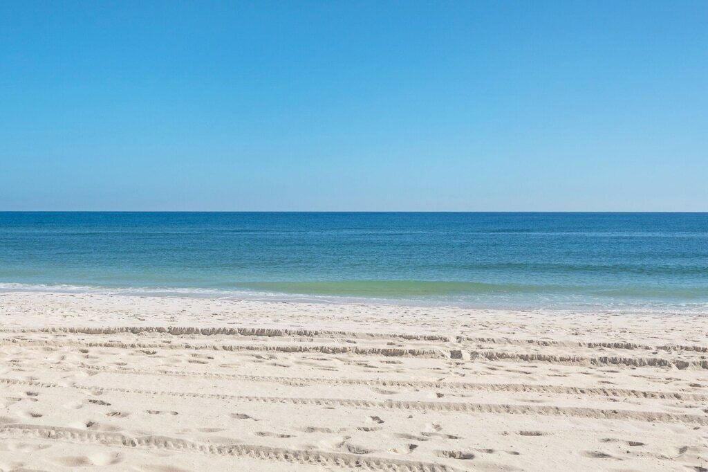 Photo of Others in Pensacola Beach
