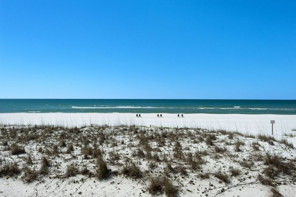 Photo of Others in Pensacola Beach