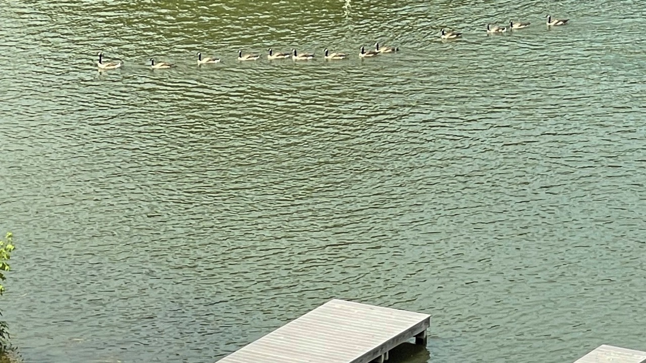 Photo of Others in Guntersville