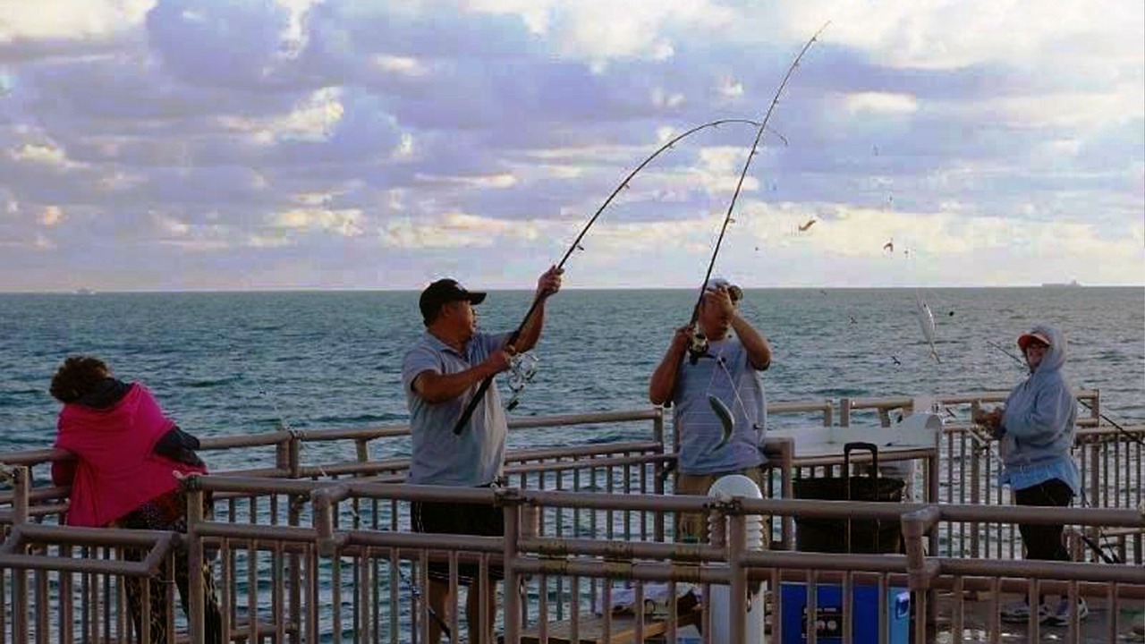 Photo of Others in Sunny Isles Beach