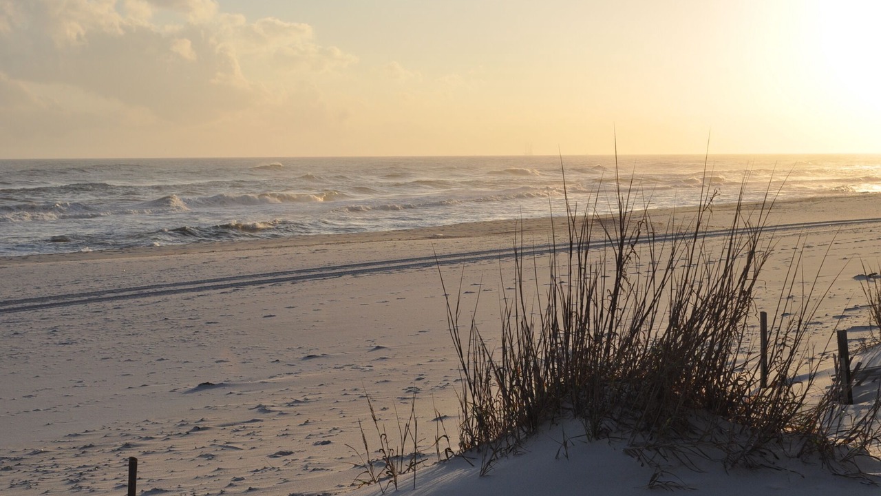 Photo of Others in Gulf Shores