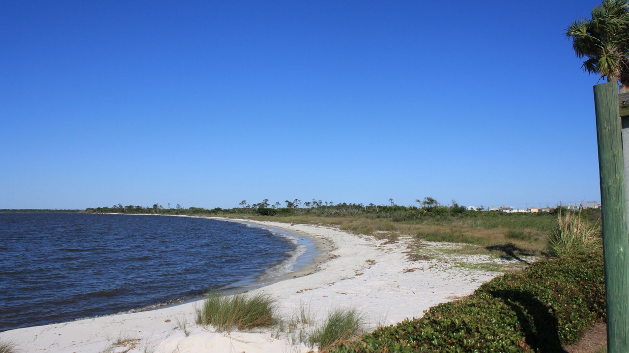 Photo of Others in Fort Morgan Pines