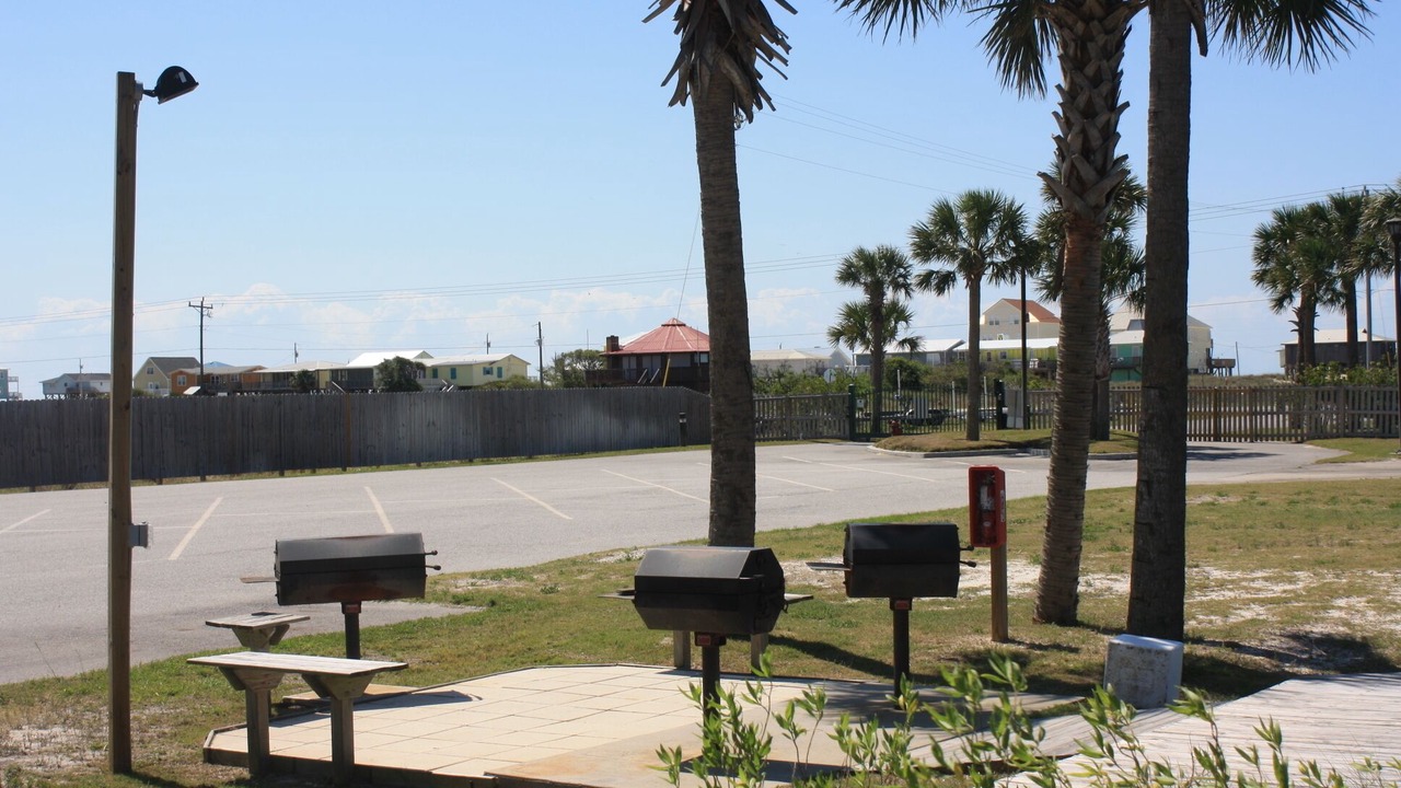 Photo of Others in Fort Morgan Pines