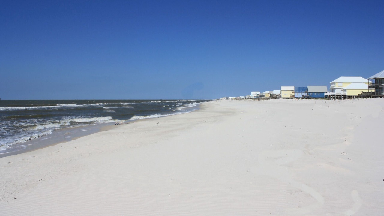 Photo of Others in Fort Morgan Pines
