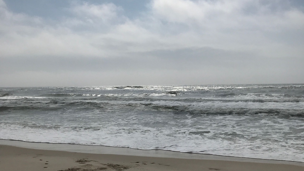 Photo of Others in Surf Side Shores