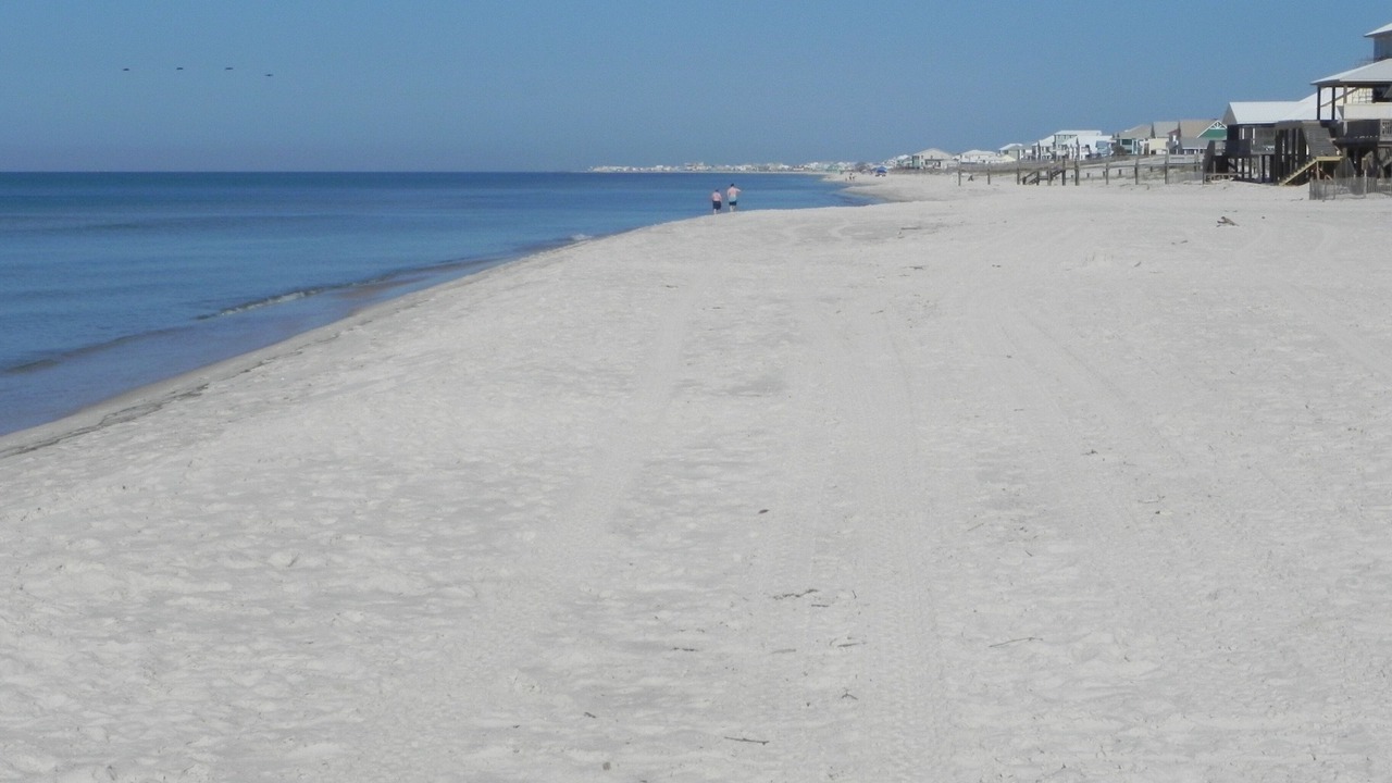 Photo of Others in Surf Side Shores
