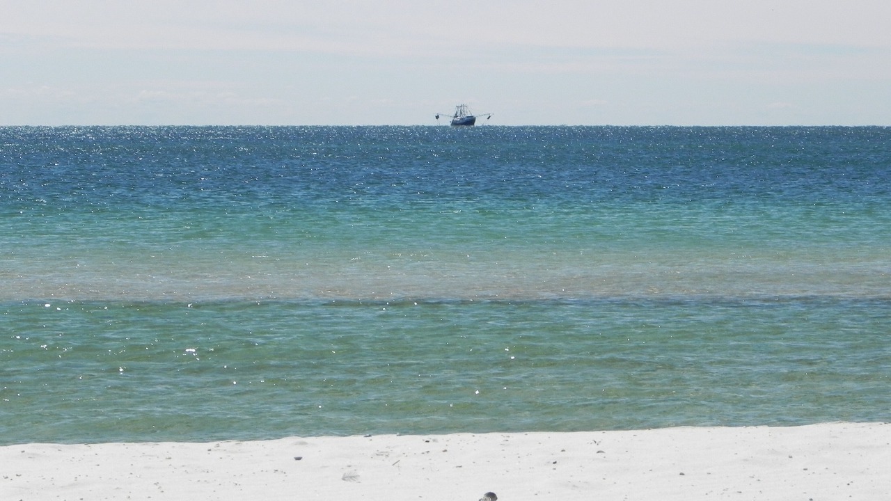 Photo of Others in Surf Side Shores