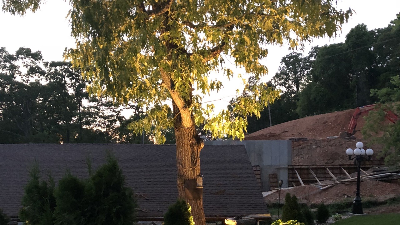 Photo of Outdoor in Muscle Shoals