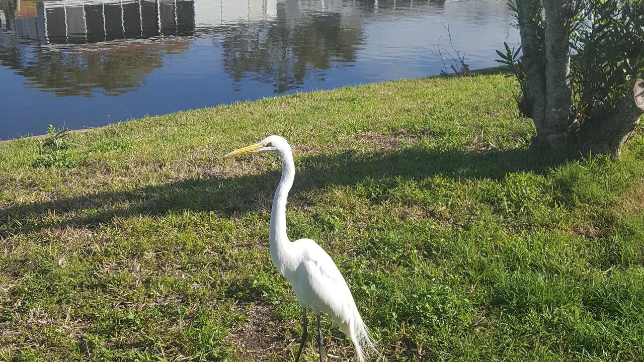 Photo of Others in New Port Richey