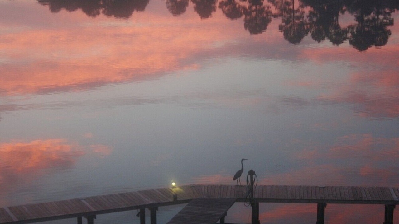 Photo of Others in Foley