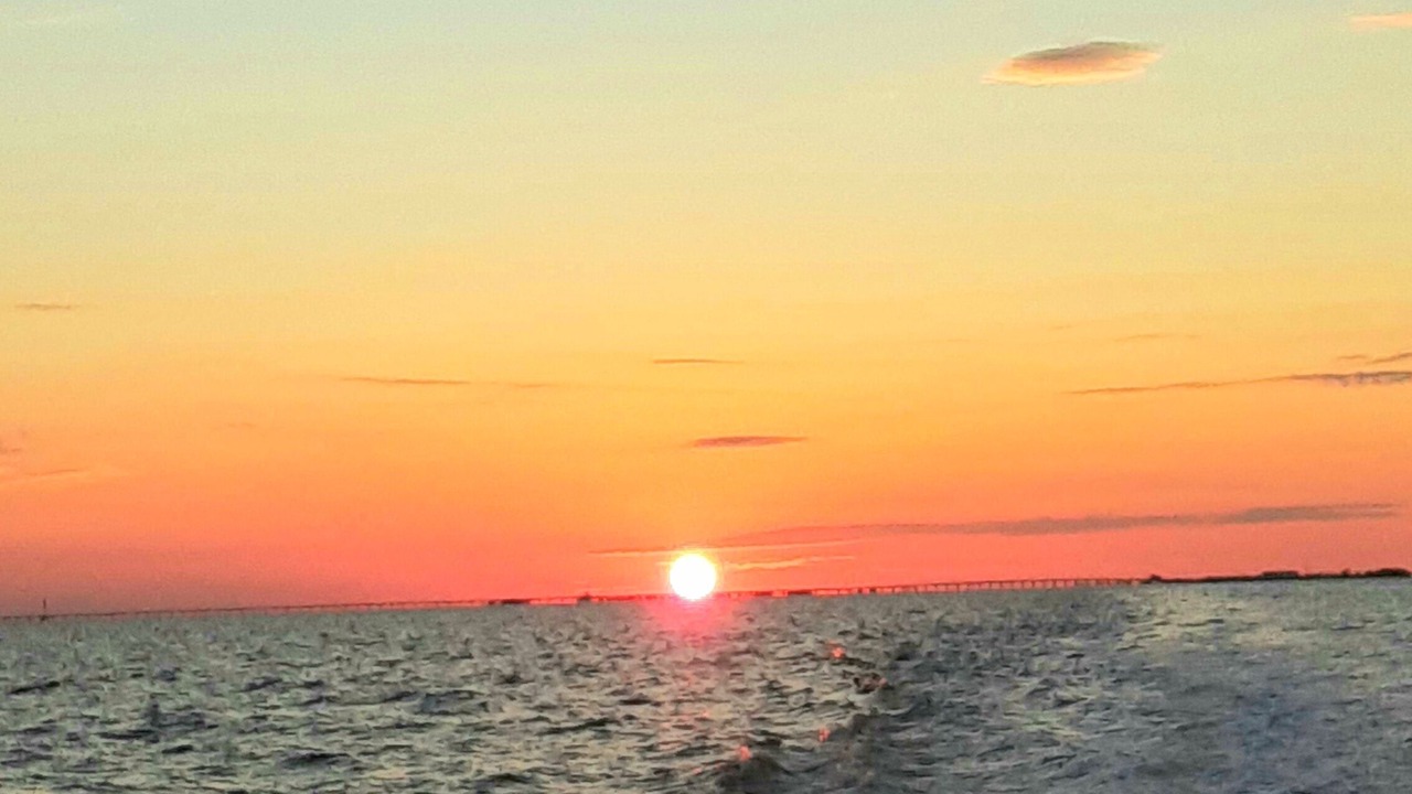 Photo of Others in Dauphin Island