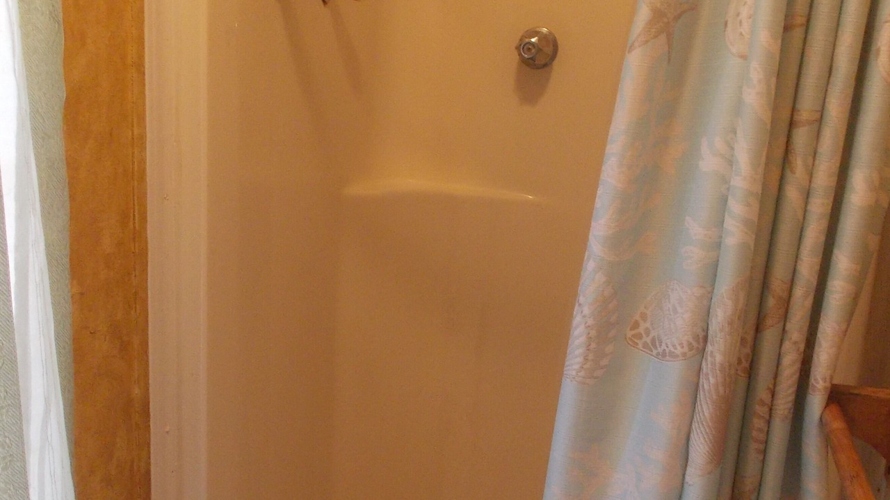 Photo of Bathroom in Dauphin Island