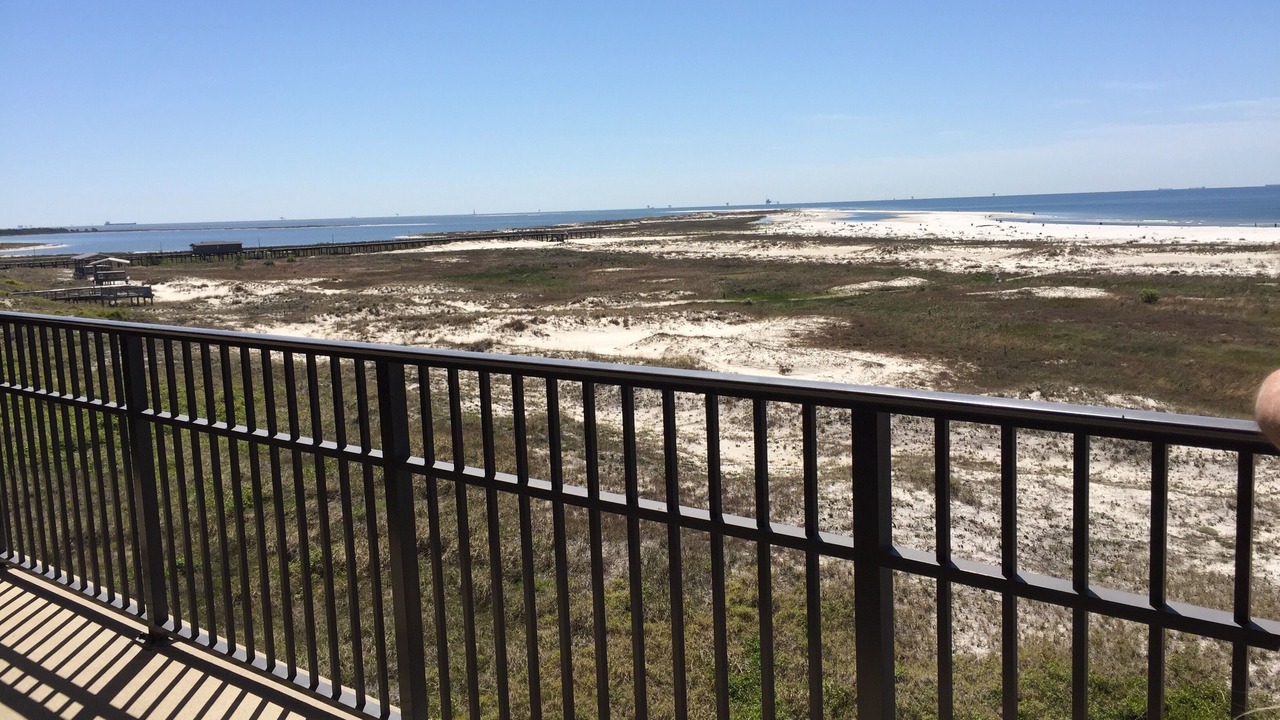 Photo of Outdoor in Dauphin Island