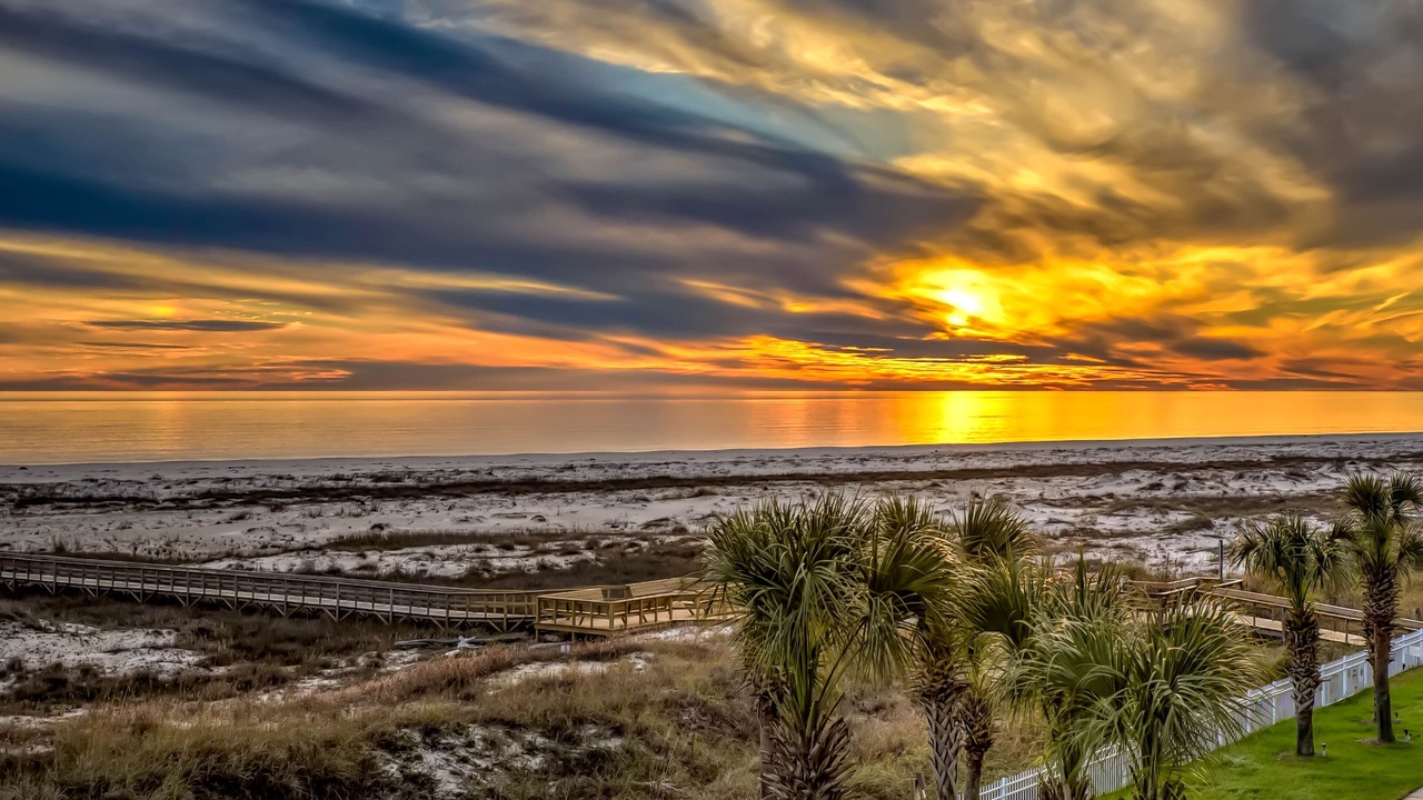 Photo of Others in Dauphin Island