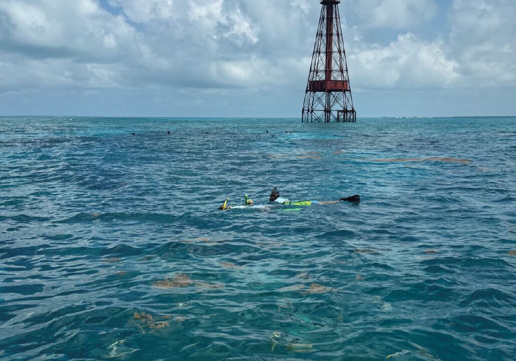 Photo of Others in Coral Lagoon