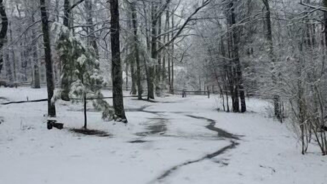 Photo of Others in Fort Payne