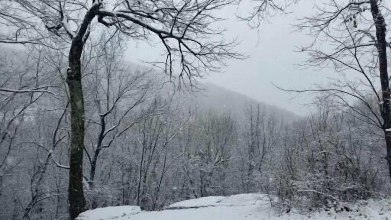 Photo of Others in Fort Payne