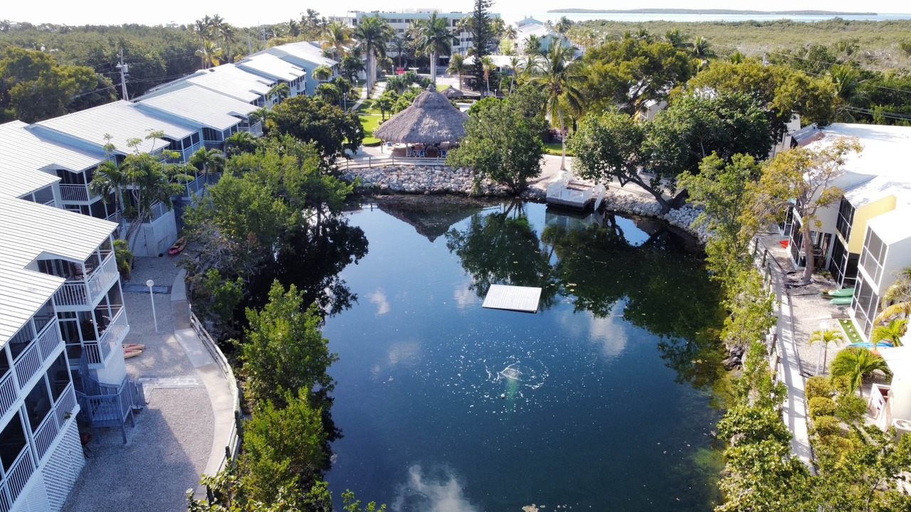 Photo of Others in Key Largo