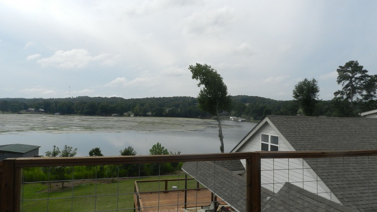 Photo of Others in Guntersville