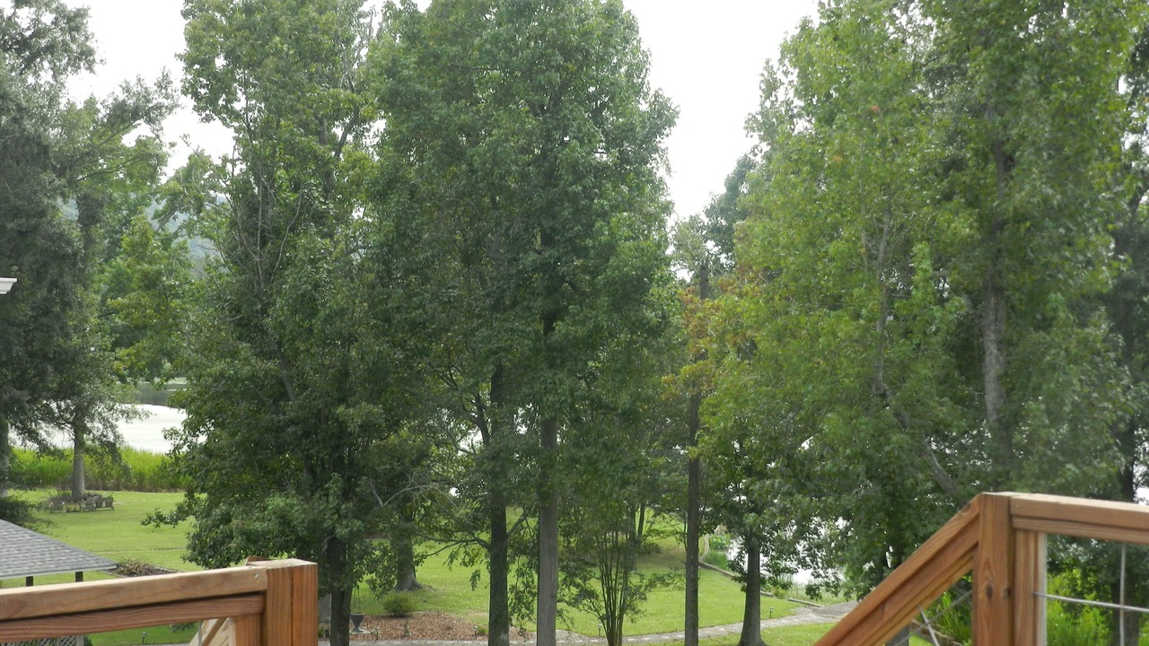 Photo of Outdoor in Guntersville