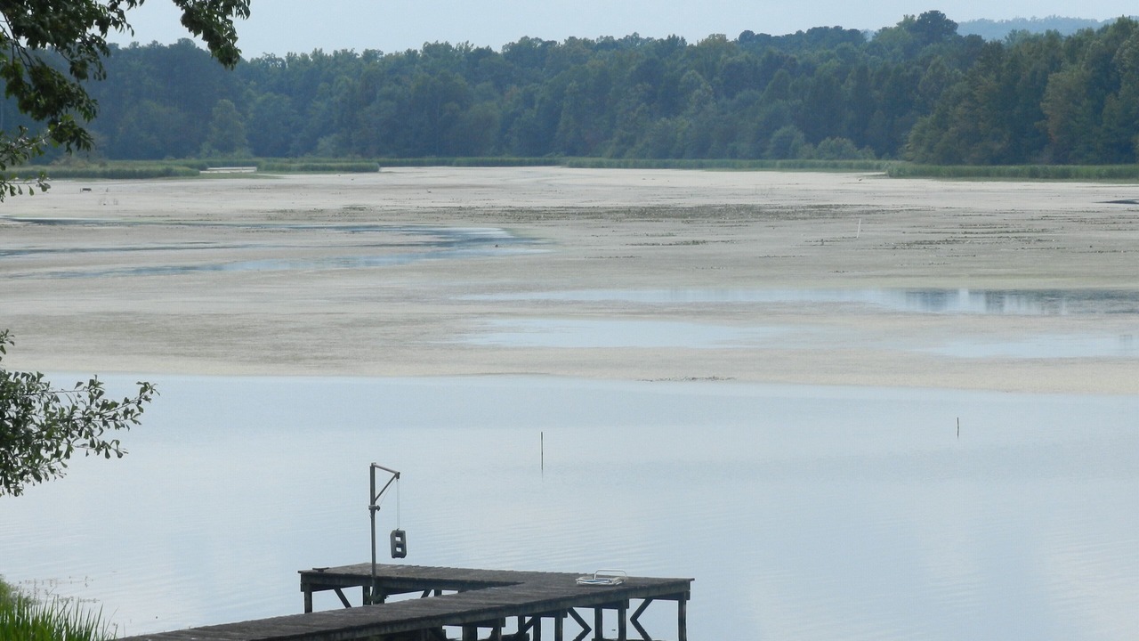 Photo of Outdoor in Guntersville
