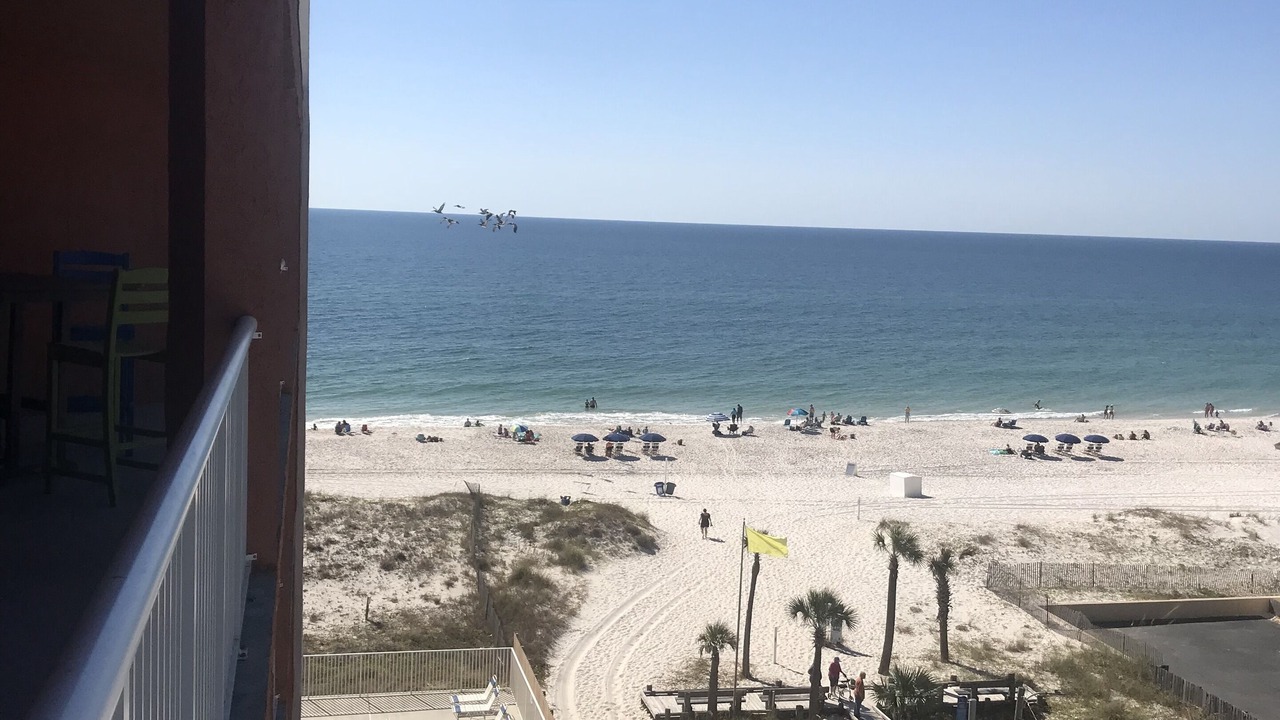 Photo of Others in Gulf Shores