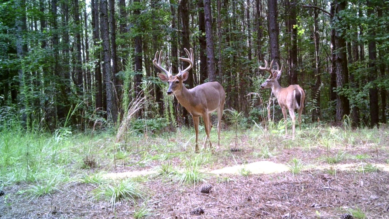Photo of Others in Ranburne
