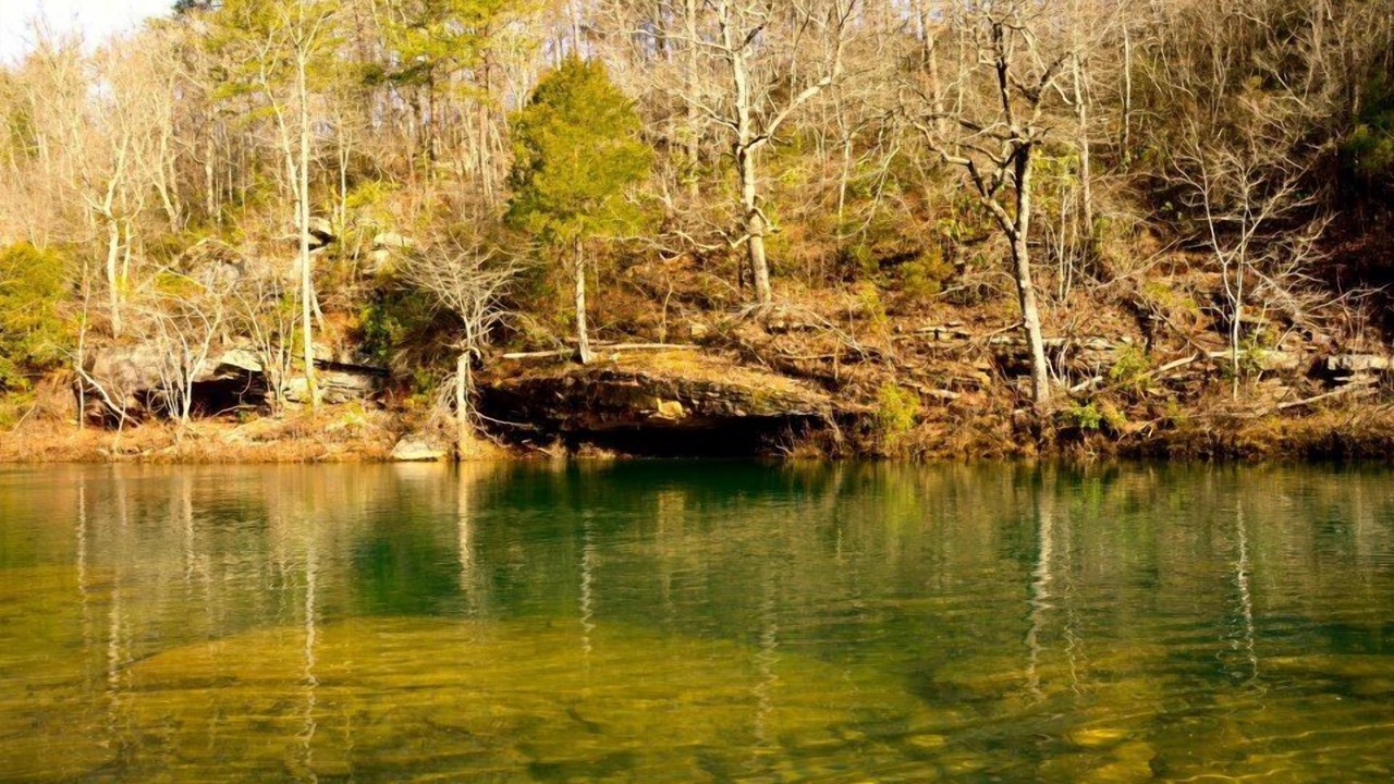 Photo of Outdoor in Mentone