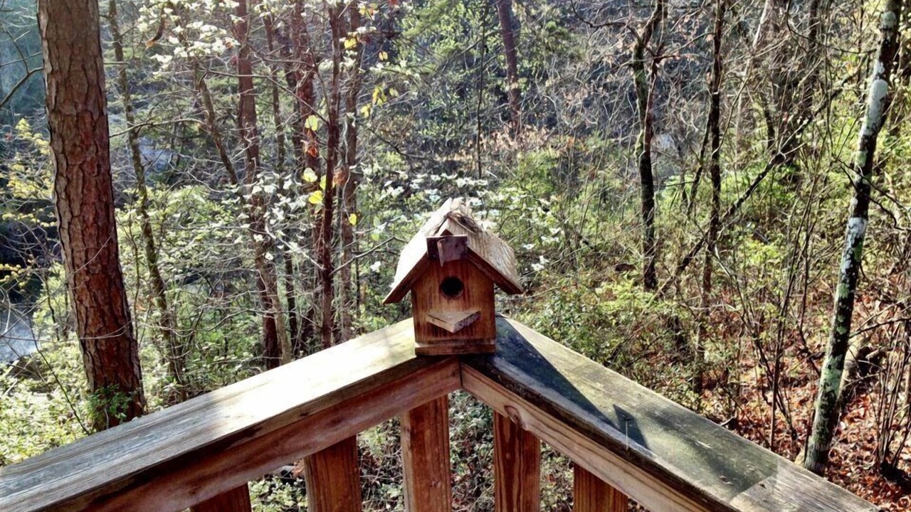 Photo of Outdoor in Mentone