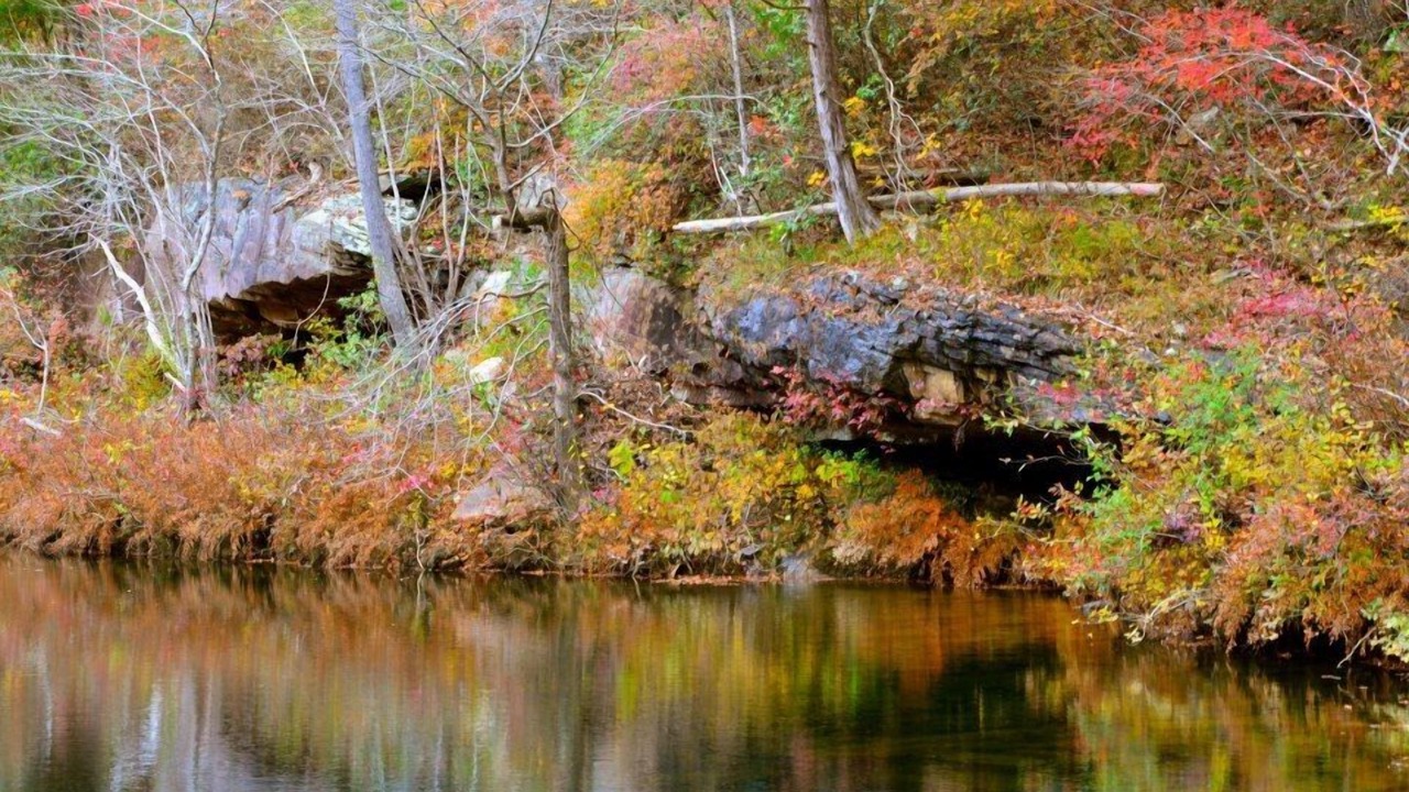 Photo of Outdoor in Mentone