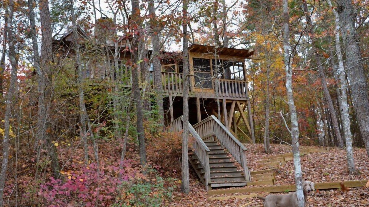 Photo of Outdoor in Mentone