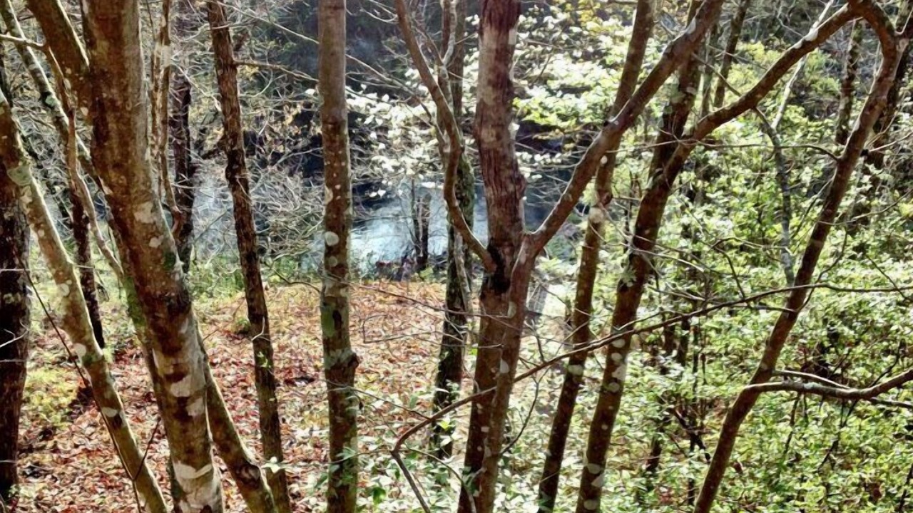 Photo of Outdoor in Mentone