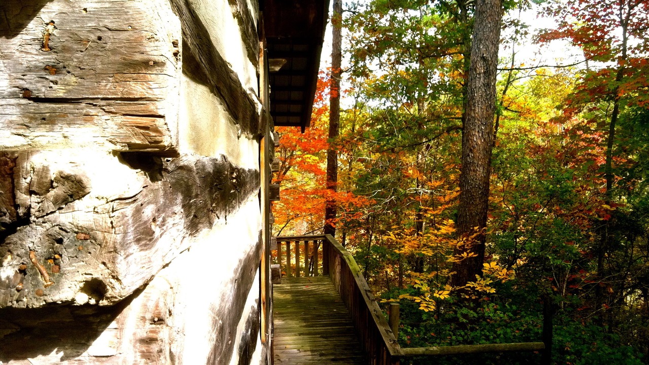 Photo of Outdoor in Mentone