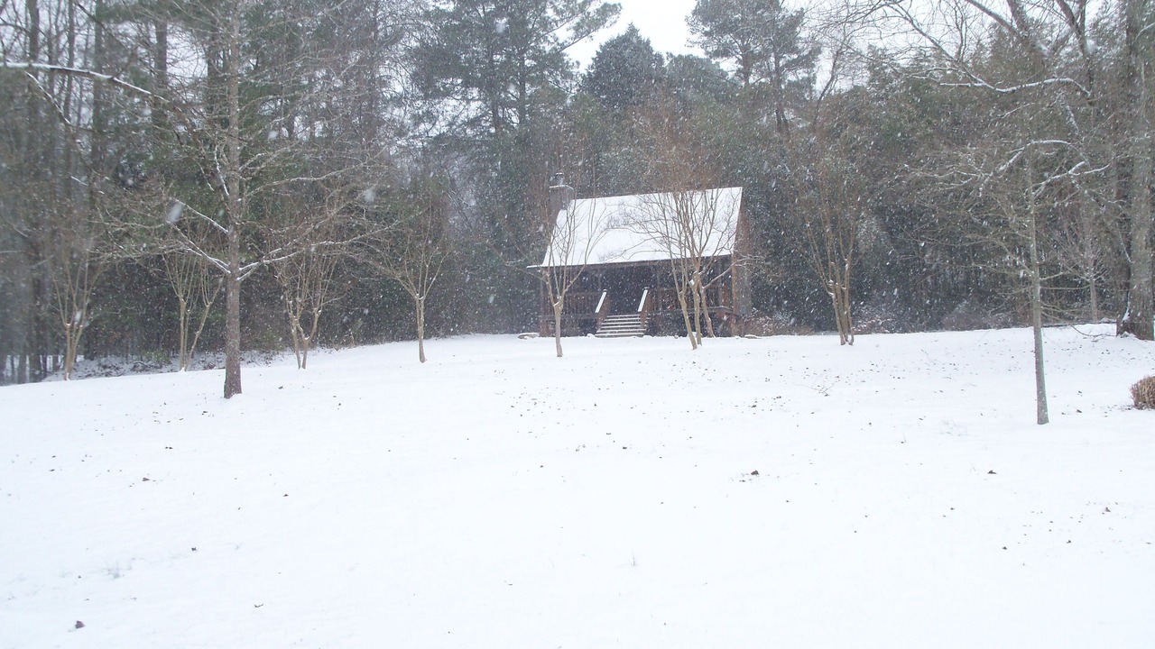 Photo of Outdoor in Chelsea