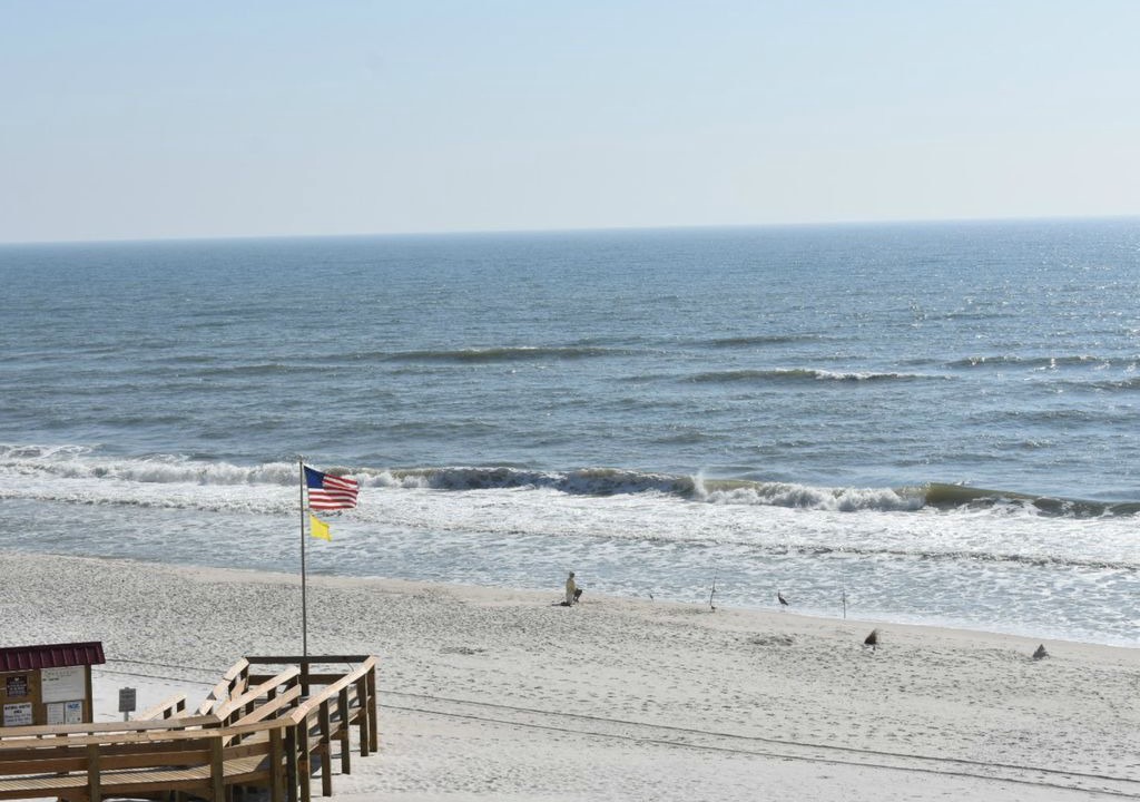 Photo of Others in Gulf Shores