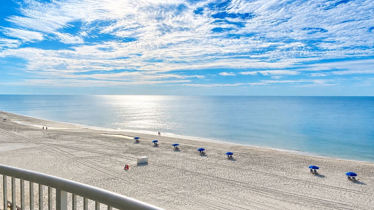 Photo of Others in Gulf Shores