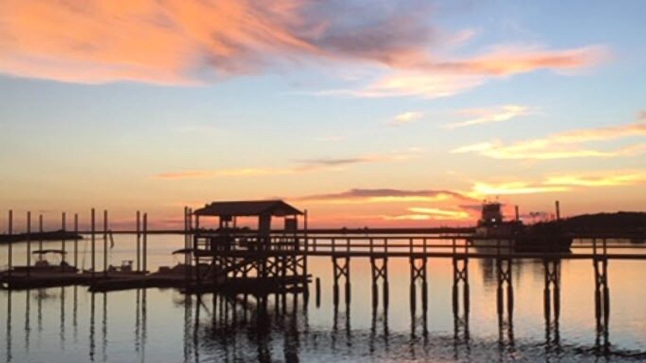 Photo of Others in Steinhatchee
