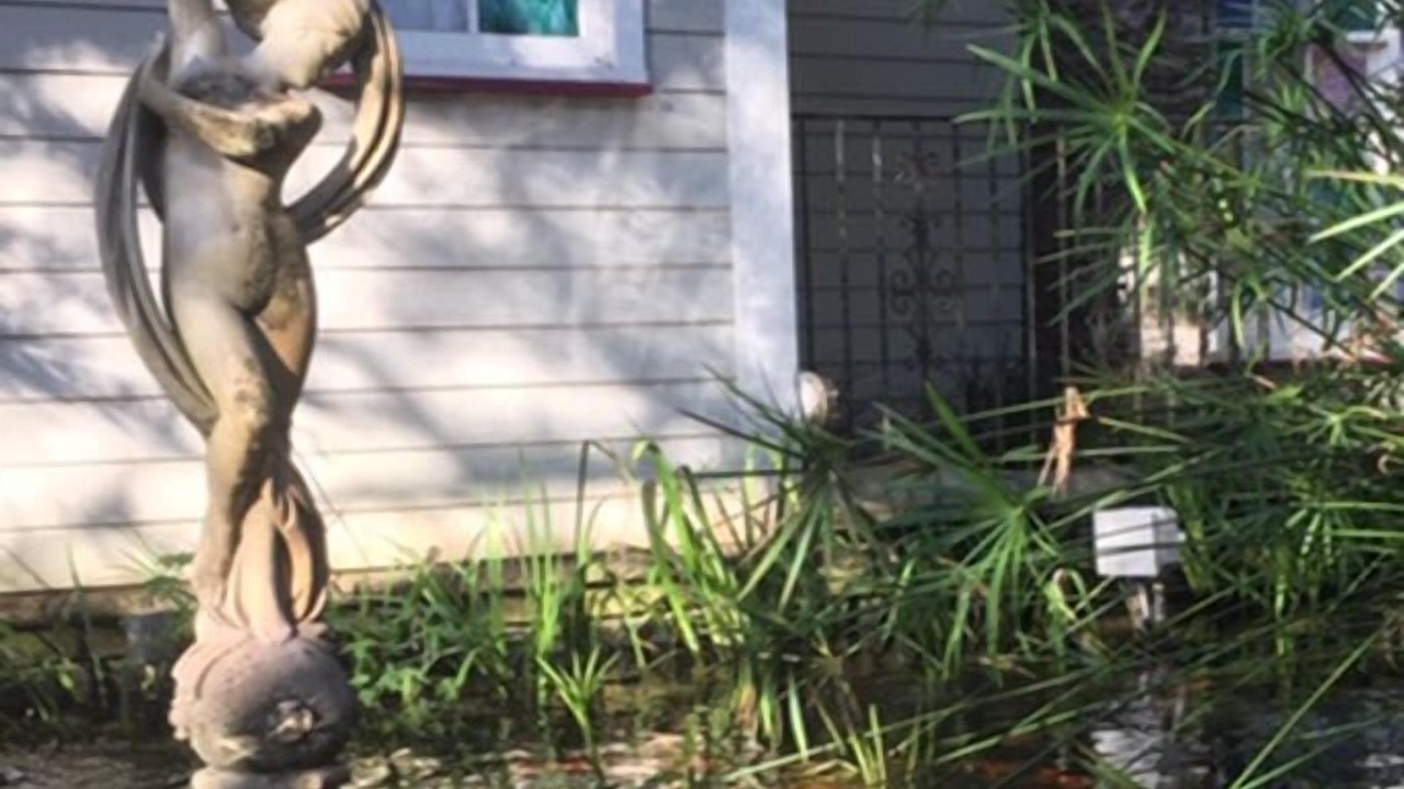 Photo of Others in Steinhatchee