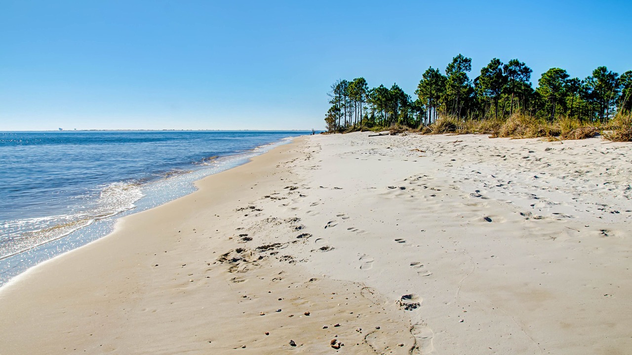 Photo of Others in Dauphin Island