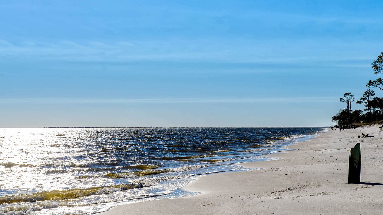 Photo of Others in Dauphin Island