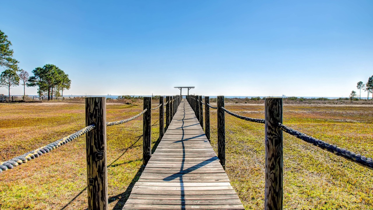Photo of Others in Dauphin Island