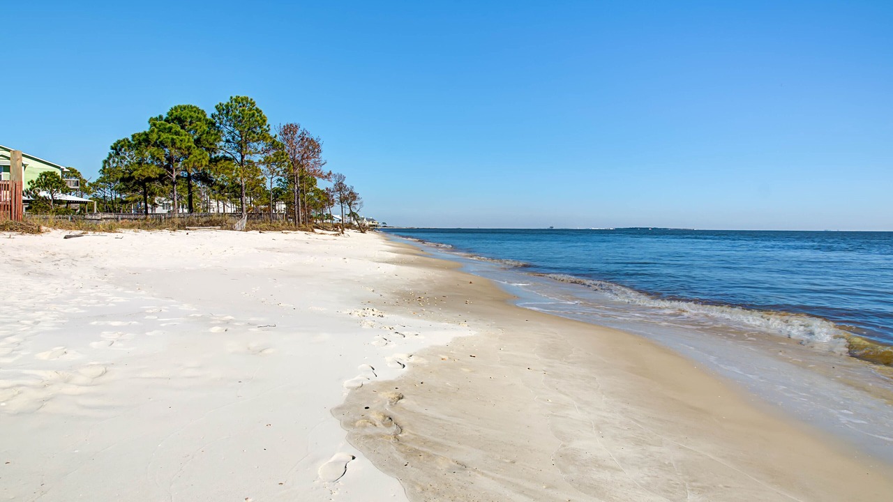 Photo of Others in Dauphin Island