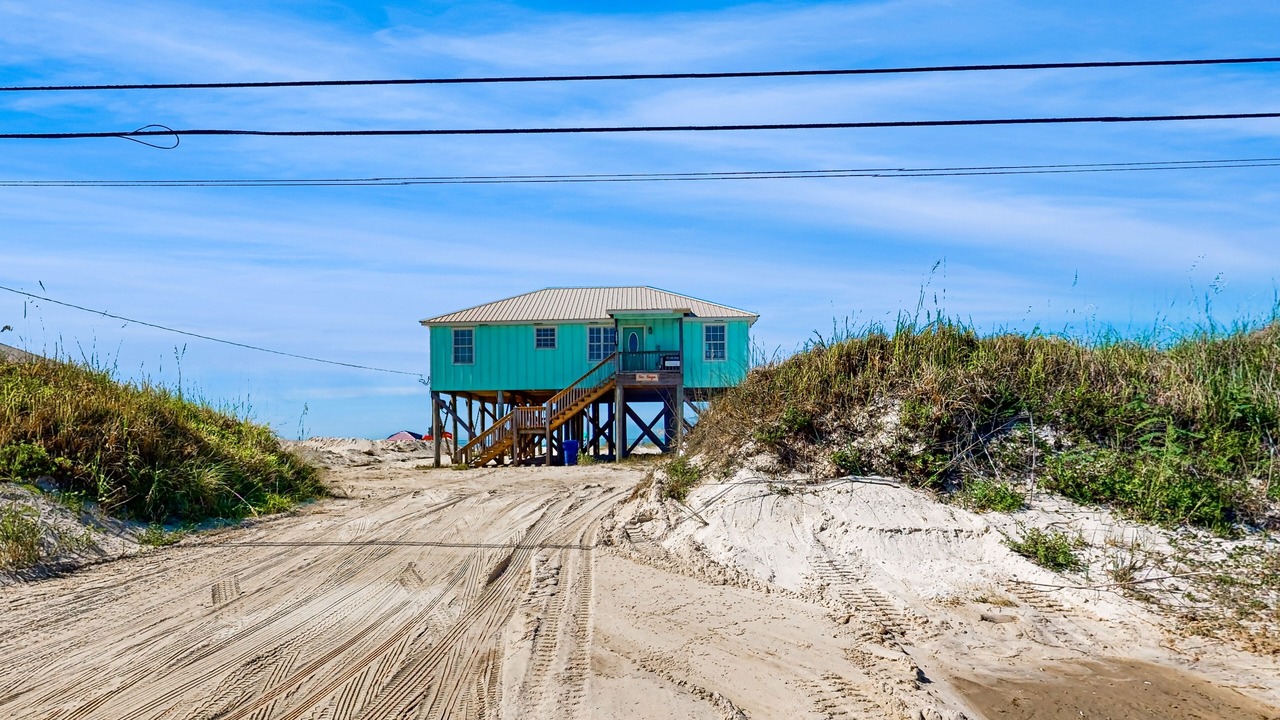 Photo of Outdoor in Dauphin Island