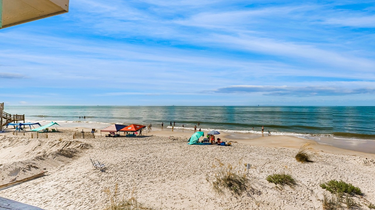 Photo of Others in Dauphin Island