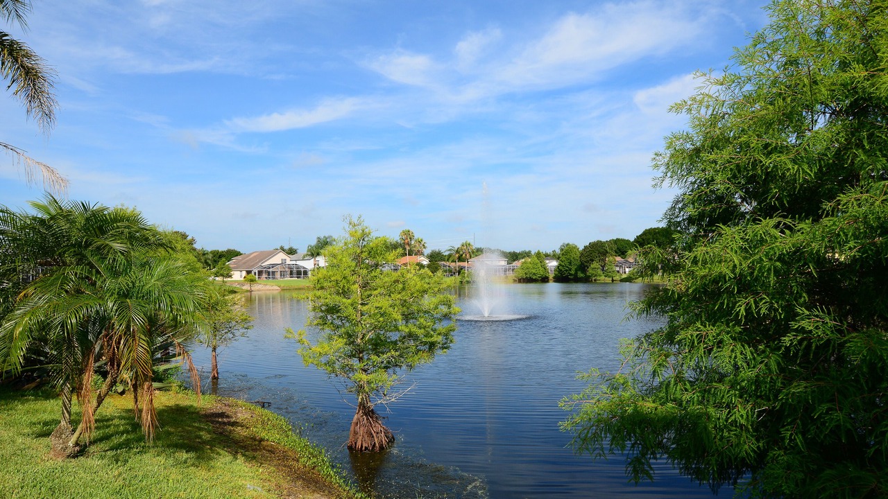 Photo of Outdoor in West Kissimmee