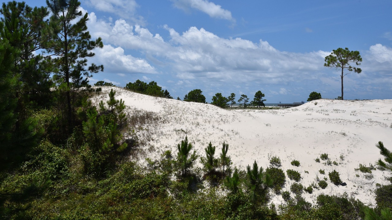 Photo of Others in Dauphin Island