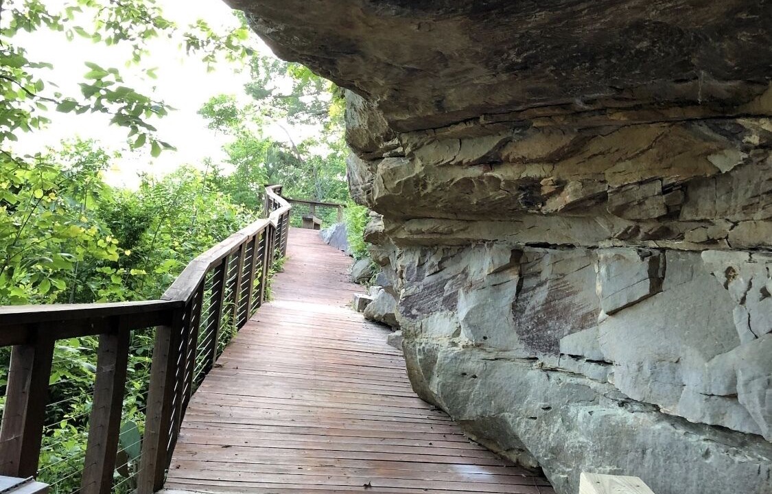 Photo of Outdoor in Crane Hill