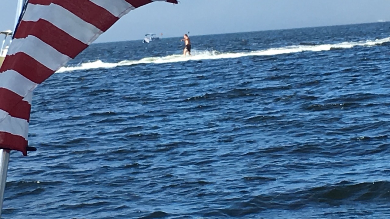 Photo of Others in Gulf Harbors